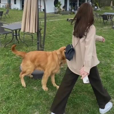 另类杀手
